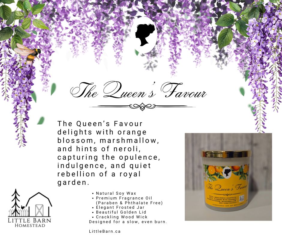 The Queen's Favour