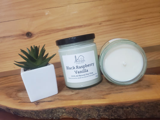 Black Raspberry Vanilla Soy Candle