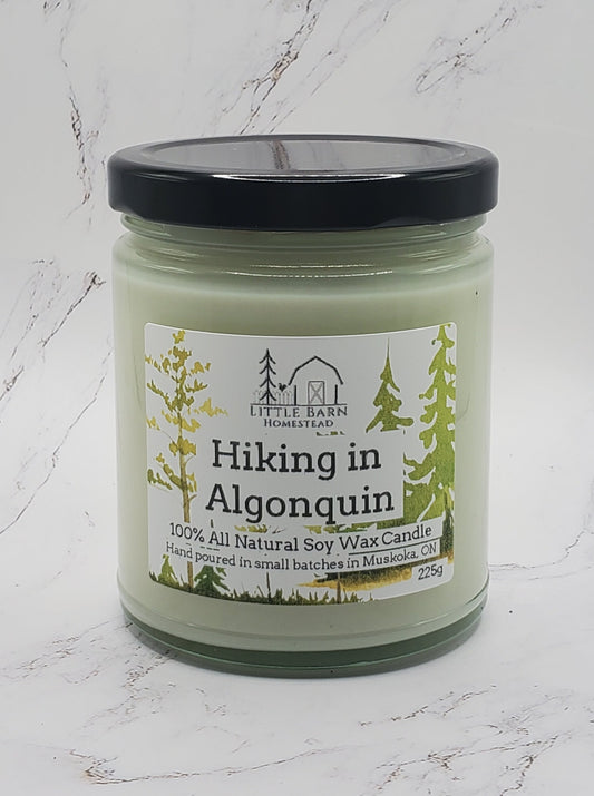 Hiking in Algonquin Soy Candle