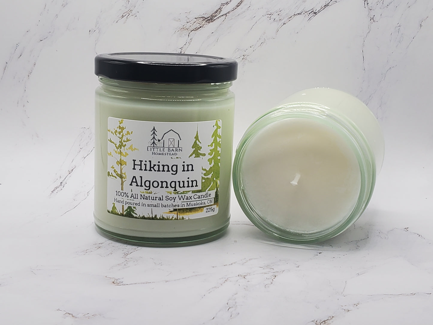 Hiking in Algonquin Soy Candle