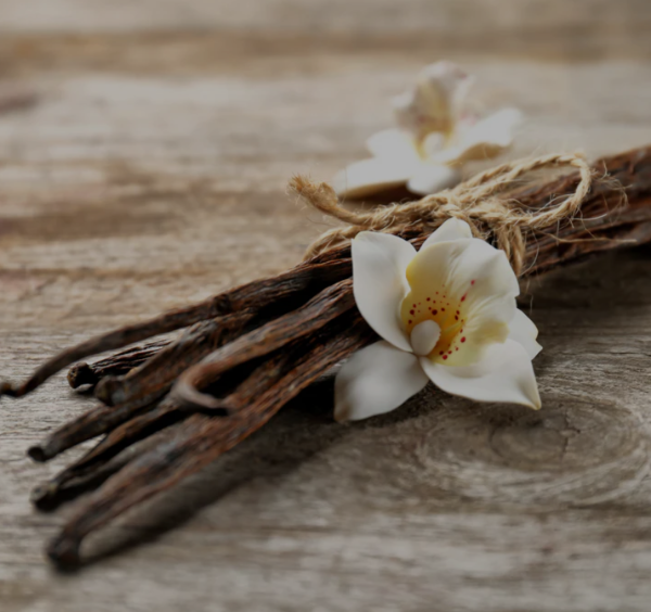 French Vanilla Soy Candle