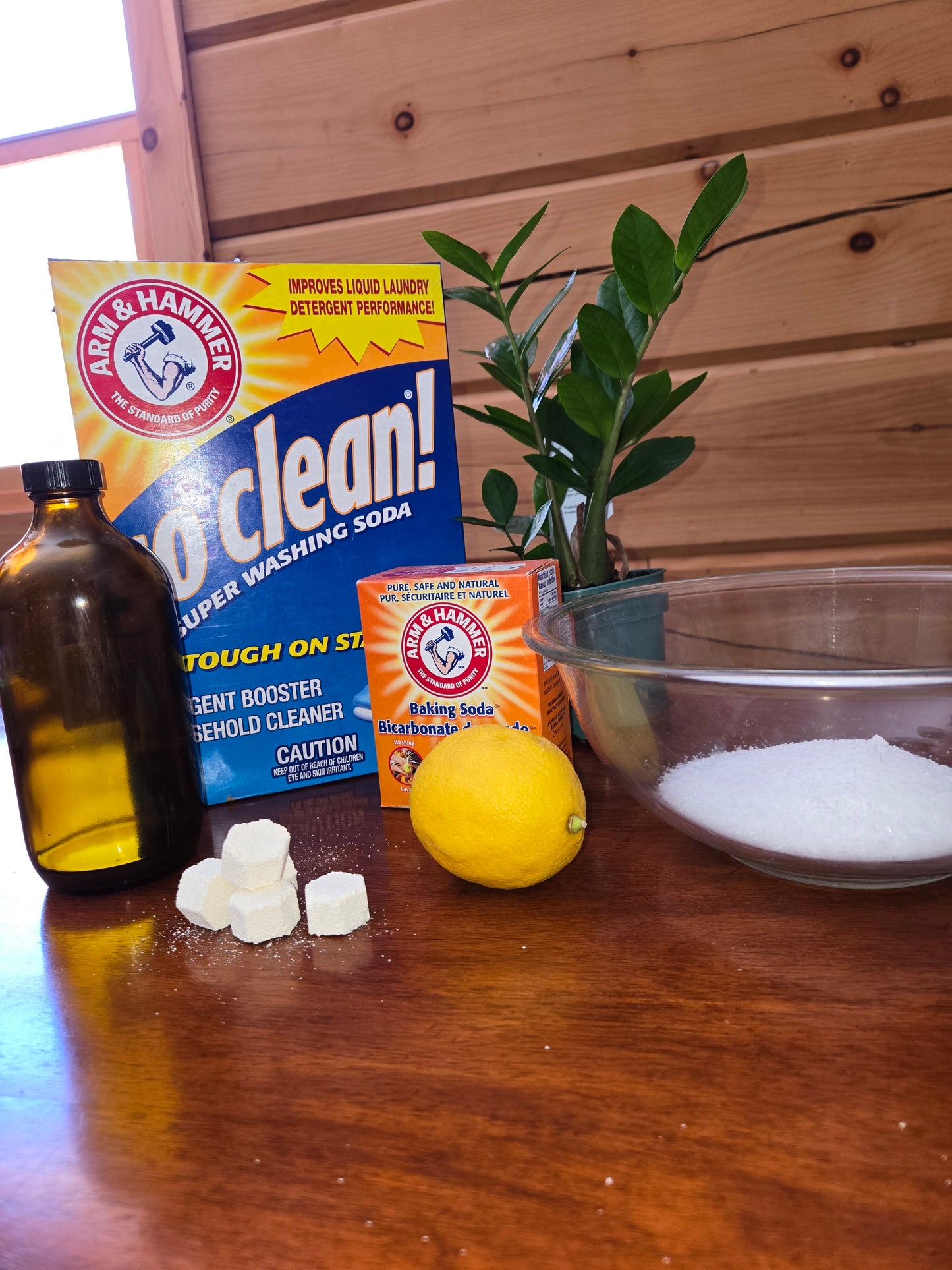 All Natural Dishwasher Tab Detergent