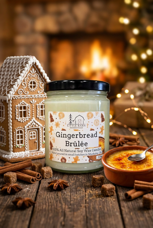 Gingerbread Brulee Soy Candle