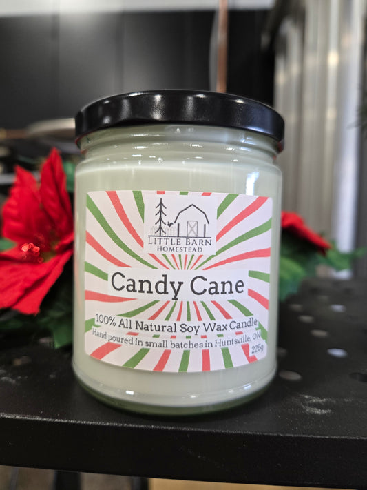 Candy Cane Soy Candle