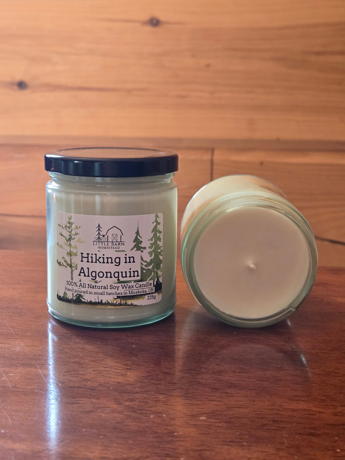 Hiking in Algonquin Soy Candle