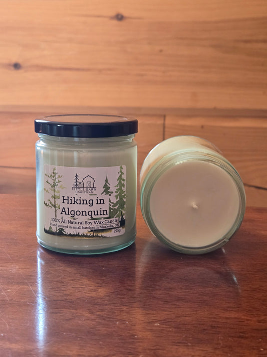 Hiking in Algonquin Soy Candle