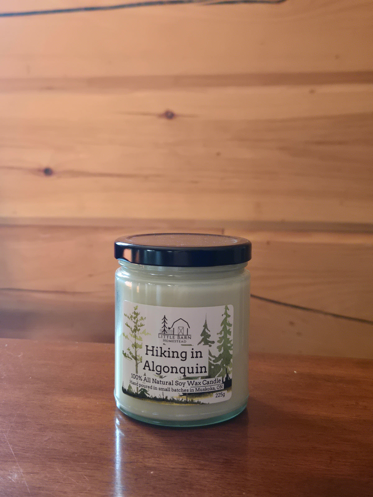 Hiking in Algonquin Soy Candle