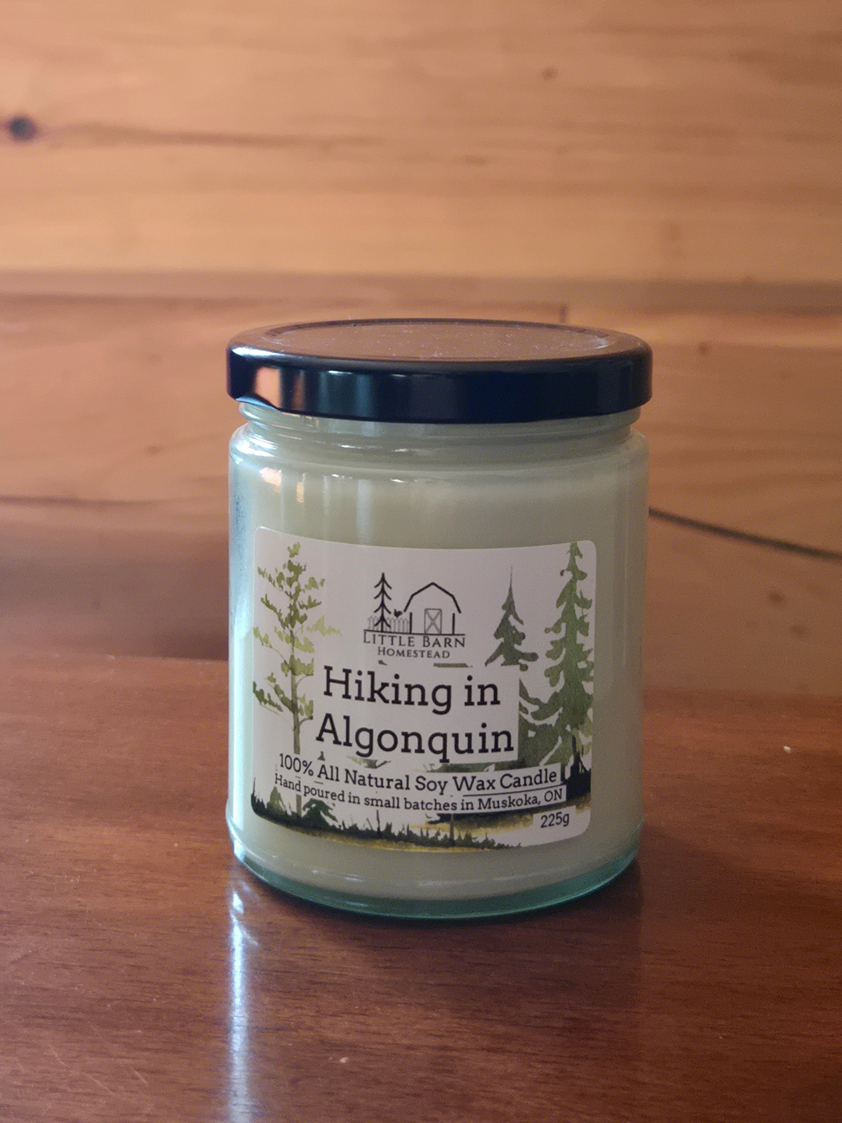 Hiking in Algonquin Soy Candle