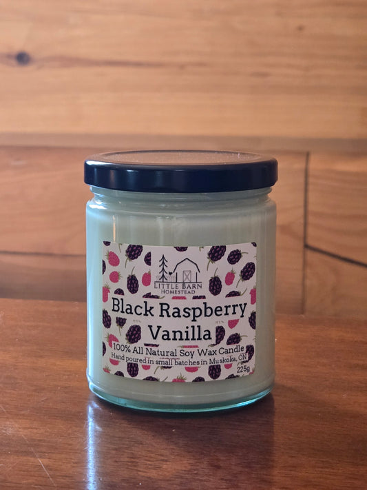 Black Raspberry Vanilla Soy Candle